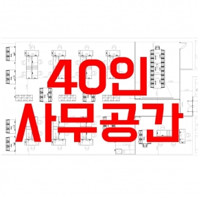 40 ̾ƿ(80~100)