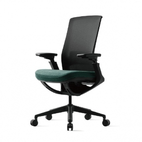  ROLY Ѹ 繫, ȸǿ [P1G110M]