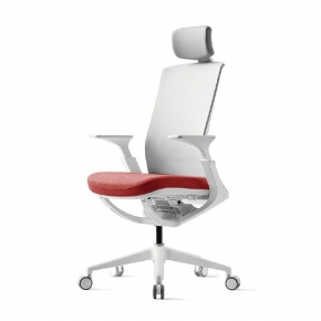  ROLY Ѹ 繫 [P1G210L]