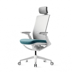  ROLY Ѹ 繫 [P1G110L]