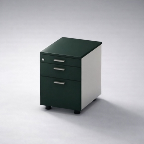 �̵�����3�� ��ũ��(Forest Green)
